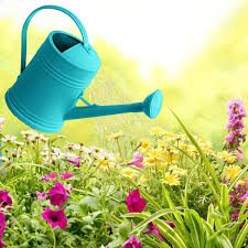image watering can